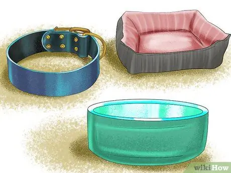 Воспитать верную собаку Шаг 6