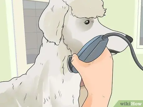 Удалите заусенцы из собачьей шерсти, шаг 7