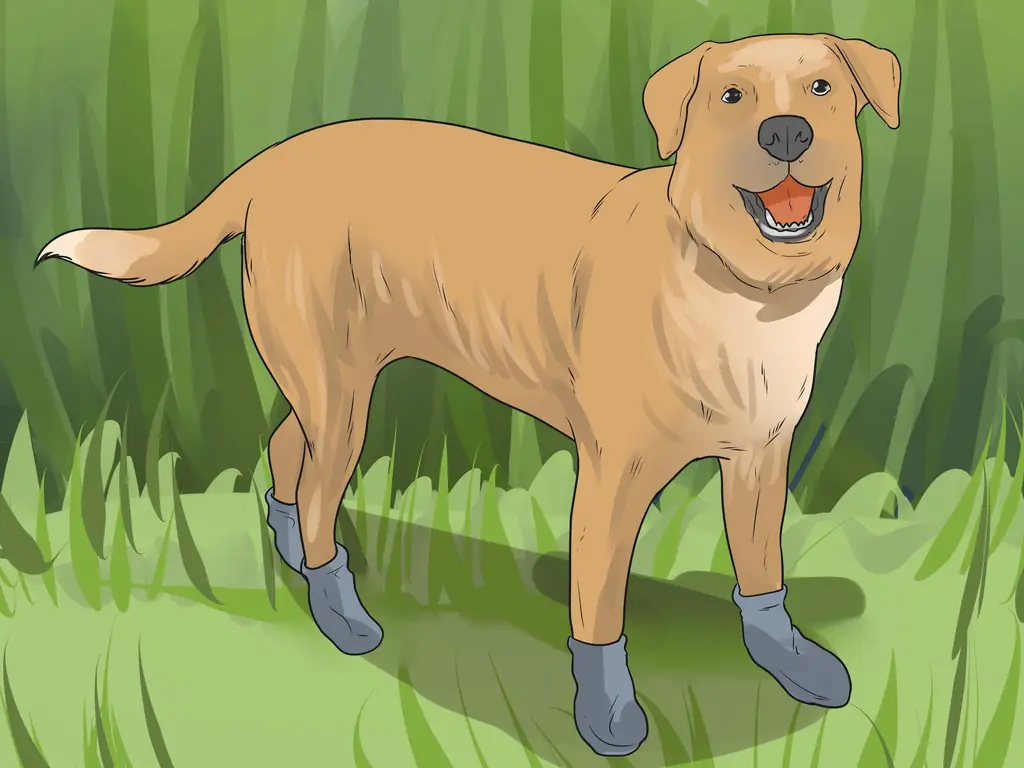 Как избавиться от заусенцев из шерсти собаки: 10 шагов (с иллюстрациями)