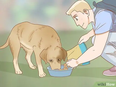 Take Your Dog Camping Step 11
