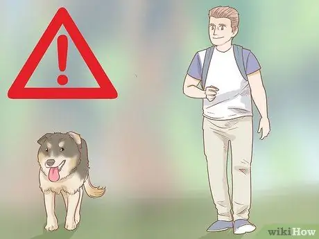 Возьмите свою собаку в поход, шаг 18