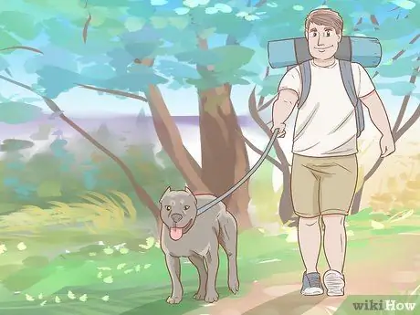 Возьмите свою собаку в кемпинг, шаг 2