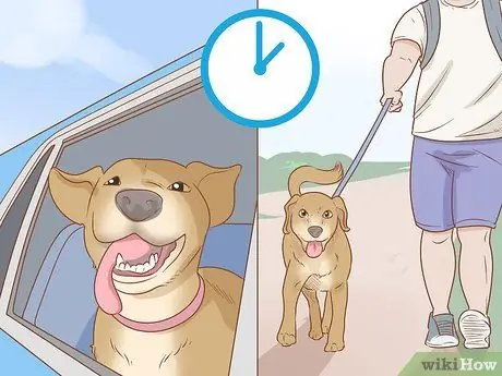 Возьмите свою собаку в кемпинг, шаг 5