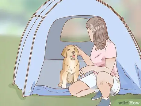 Возьмите свою собаку в кемпинг, шаг 6