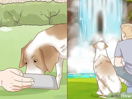 Take Your Dog Camping Step 7