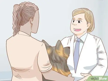 Take Your Dog Camping Step 8