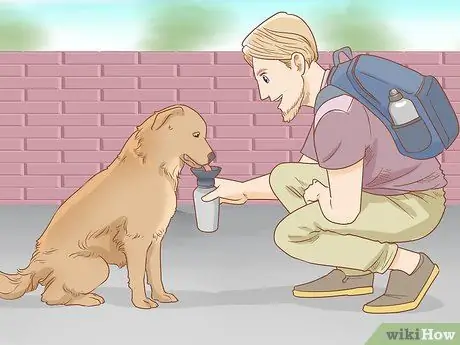 Возьмите свою собаку в кемпинг, шаг 9