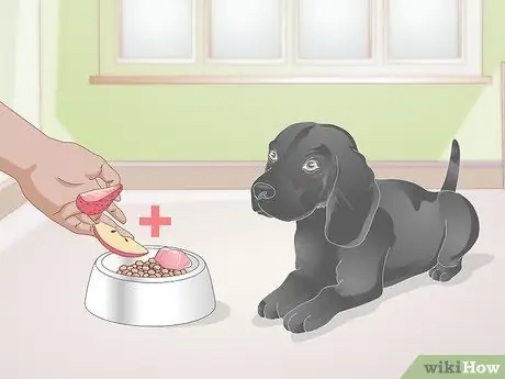 Позаботьтесь о раненой собаке Шаг 14