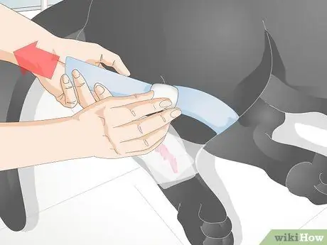 Позаботьтесь о раненой собаке Шаг 9