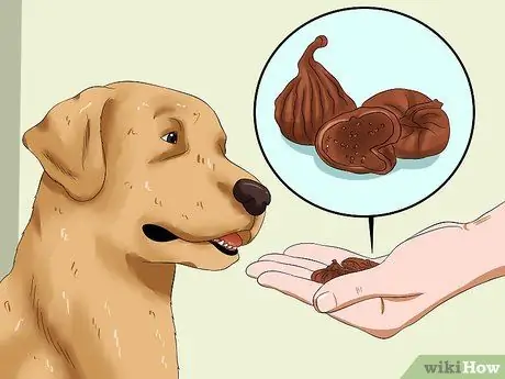 Лечить собачьих глистов едой и травами Шаг 11