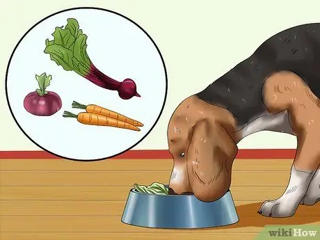 Лечить собачьих глистов едой и травами Шаг 15