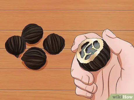 Лечить собачьих глистов едой и травами Шаг 4