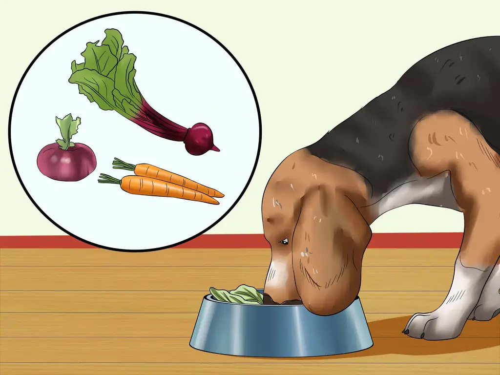 3 способа лечения собачьих глистов с помощью еды и трав