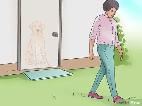 Позаботьтесь о собаке во время отпуска Шаг 11