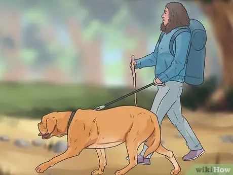 Позаботьтесь о собаке во время отпуска Шаг 12