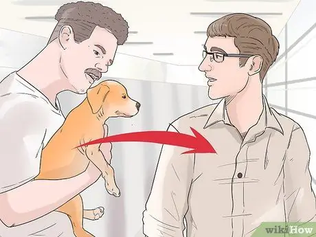 Позаботьтесь о собаке во время отпуска Шаг 2