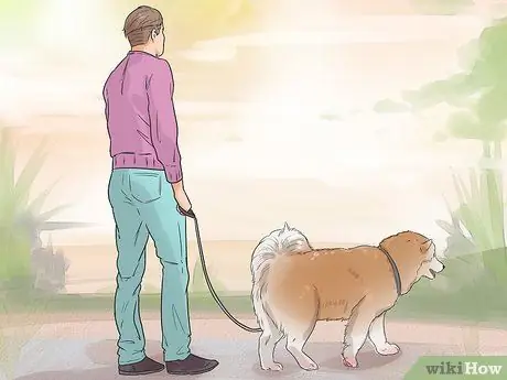 Позаботьтесь о собаке во время отпуска Шаг 9