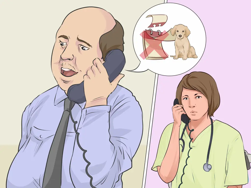 Как включить уход за собакой в свой календарь домашних дел: 10 шагов