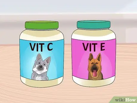 Целостный уход за собакой Шаг 11