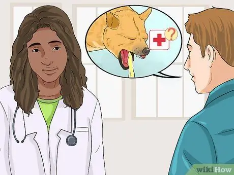 Целостный уход за собакой Шаг 6