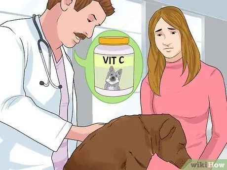 Целостный уход за собакой Шаг 7