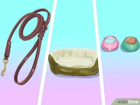 Как правильно ухаживать за собакой во время отпуска Шаг 15