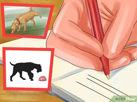 Как правильно ухаживать за собакой во время отпуска Шаг 16