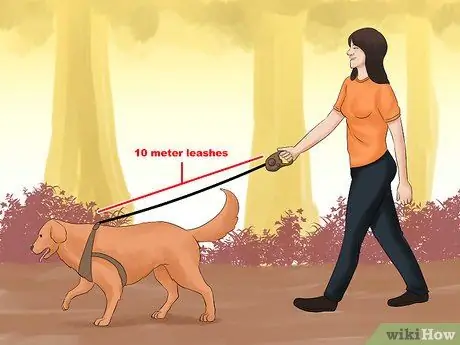 Выгуливать собаку в лесу Шаг 12