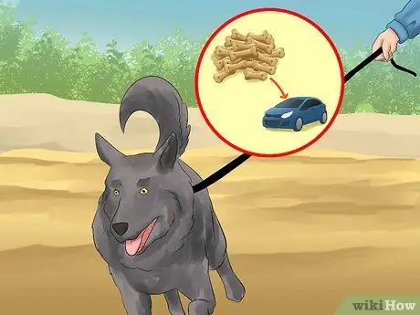 Выгуливать собаку в лесу Шаг 13