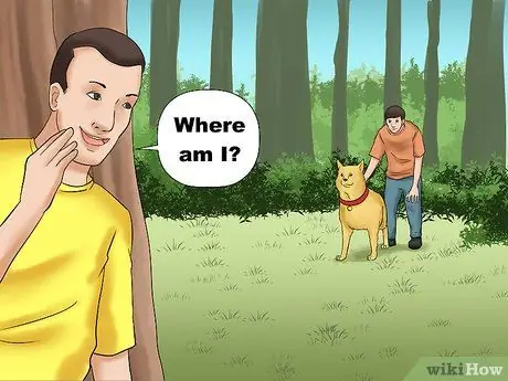 Выгуливать собаку в лесу Шаг 17