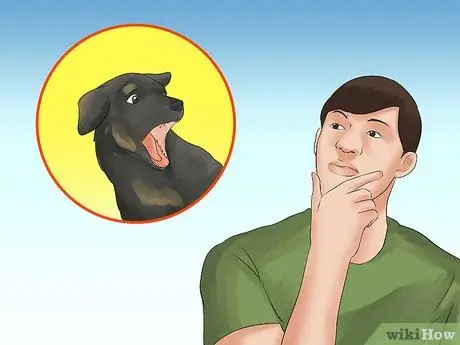 Выгуливать собаку в лесу Шаг 2