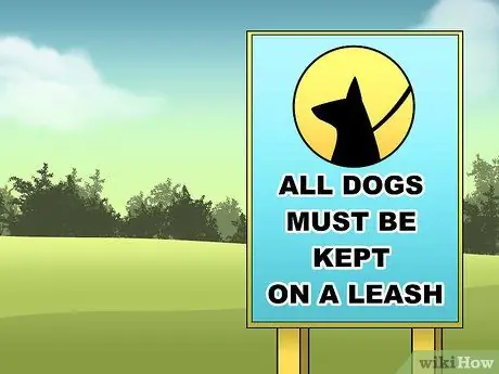 Выгуливать собаку в лесу Шаг 4