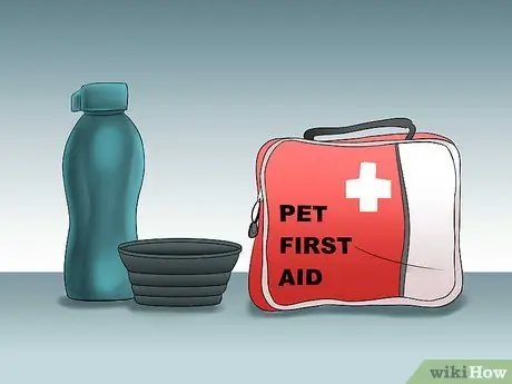 Выгуливать собаку в лесу Шаг 6