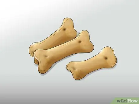 Выгуливать собаку в лесу Шаг 9