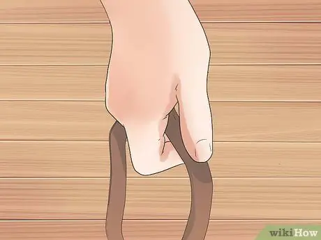 Научите собаку ходить на поводке Шаг 1