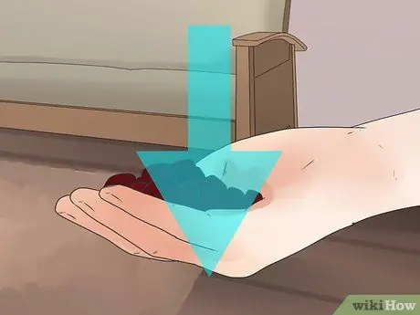 Научите собаку ходить на поводке Шаг 11