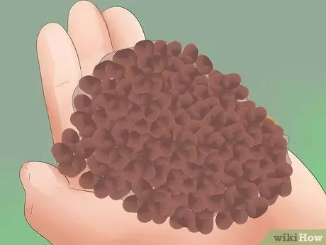 Научите собаку ходить на поводке Шаг 3