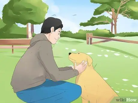 Научите собаку ходить на поводке Шаг 5