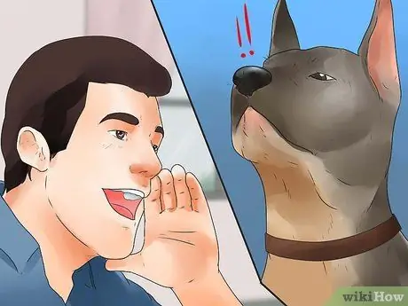 Научите собаку ходить на поводке Шаг 8