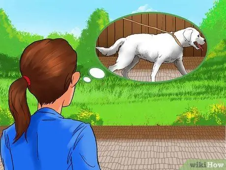 Начать службу выгула собак Шаг 4