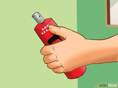 Начать службу выгула собак Шаг 5