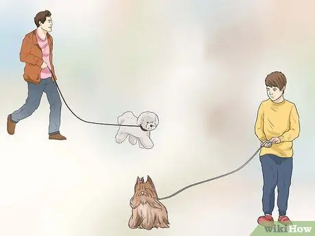 Выгуливать двух собак на одном поводке Шаг 6