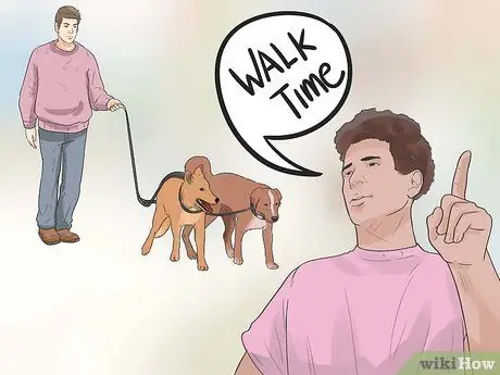 Выгуливать двух собак на одном поводке Шаг 8