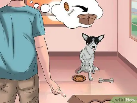 Играть с чихуахуа Шаг 2