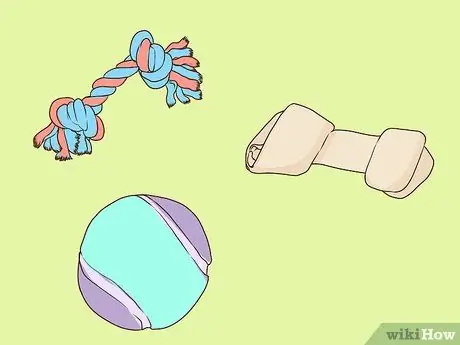 Развлекайтесь с собакой в помещении, шаг 1