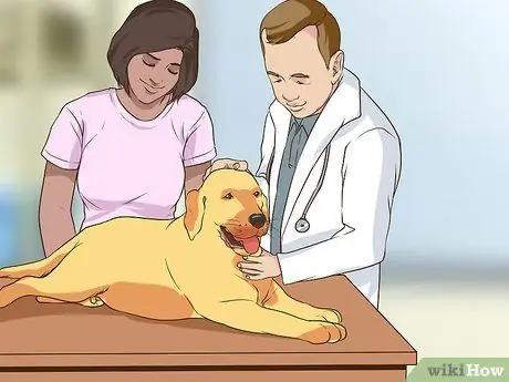 Развлекайтесь с собакой в помещении Шаг 10