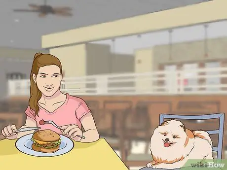 Развлекайтесь с собакой в помещении Шаг 11