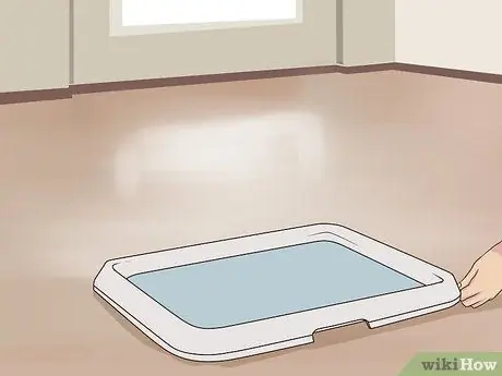 Развлекайтесь с собакой в помещении, шаг 14