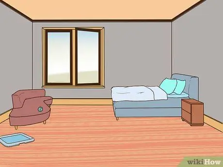 Развлекайтесь с собакой в помещении Шаг 15