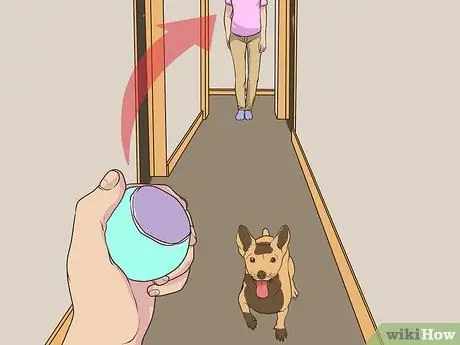 Развлекайтесь с собакой в помещении, шаг 4
